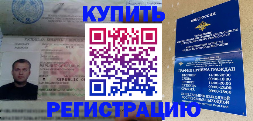 прописка законно в Пионерском